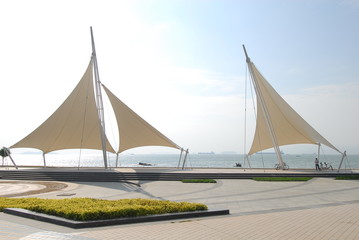 世界乒乓球最强代练