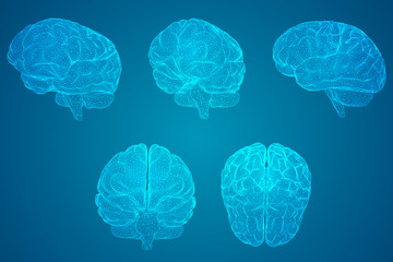 国产车在浙江能开吗