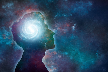 调料盒价格一般是多少