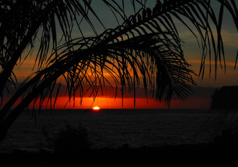 国产车在浙江能开吗