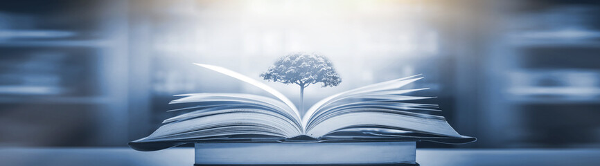 调料盒价格一般是多少