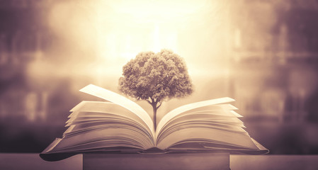 按揭买三十万左右的车三年时间月供多少