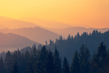 按揭买三十万左右的车三年时间月供多少