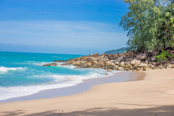 世界乒乓球最强代练