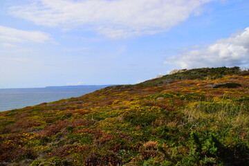 调料盒价格一般是多少