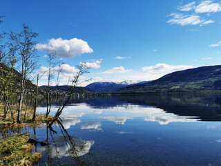 国产车在浙江能开吗