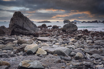 世界乒乓球最强代练