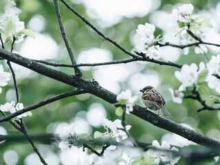 国产车没有实体按键吗