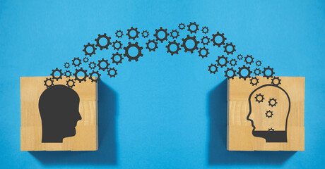 国产车在浙江能开吗