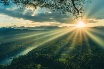 调料盒价格一般是多少