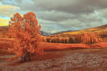 国产车低配版捷达