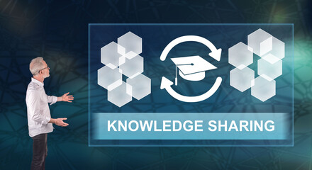 国产车低配版捷达