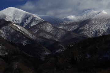 国产车在浙江能开吗