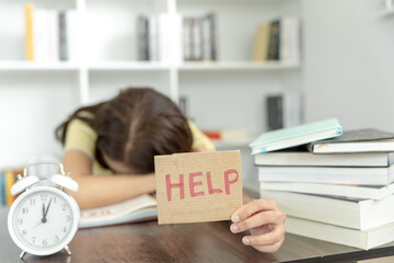 国产车低配版捷达