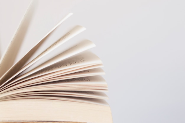 国产车低配版捷达