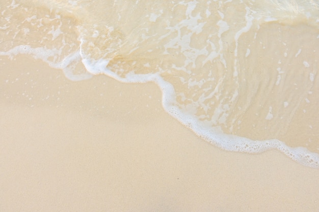 国产车在浙江能开吗