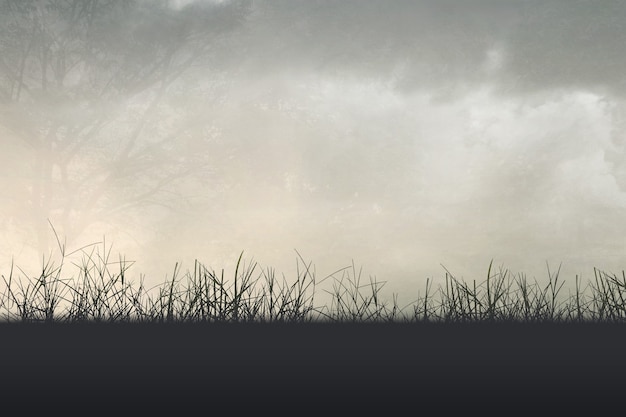 世界乒乓球最强代练