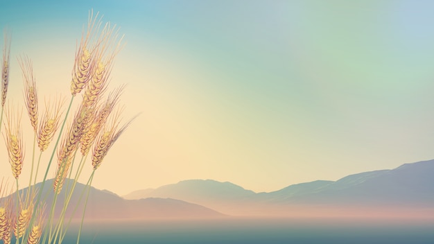 国产车方向盘紧