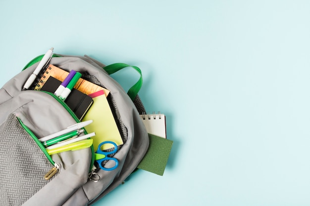 国产车低配版捷达