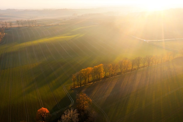 国产车在浙江能开吗