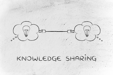 国产车在浙江能开吗