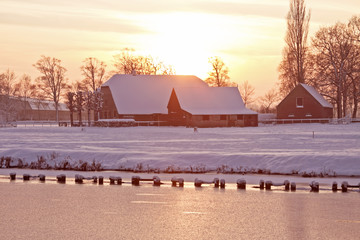 国产车低配版捷达